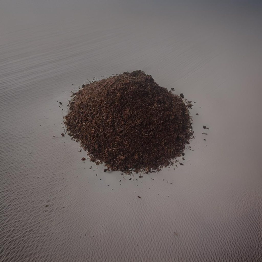 WhatsApp Image 2024-07-26 at 11.59.35 PM